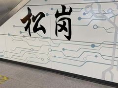 -松岗(地铁站)