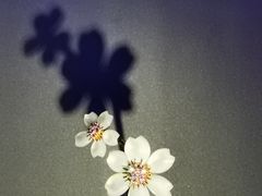-上海当代艺术博物馆