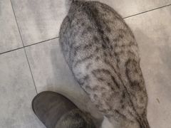 -有何Book(六堰体育馆店)