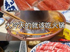 -东镇老火锅(长春路首店)