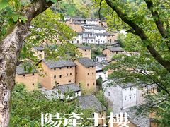 -阳产土楼