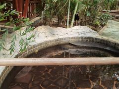 -龙达温泉生态城