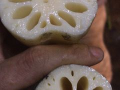 -海吉星国际农产品物流管理有限公司