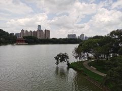-顺峰山公园