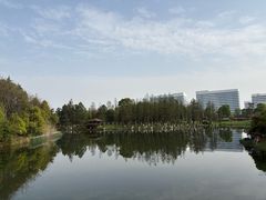 -瑶湖湿地自然保护区