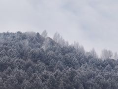 -雁门关景区