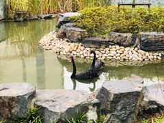 -梧桐人家中国太平国际健康颐养社区