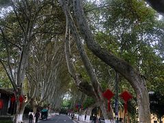 -T80科技文化国际社区-停车场