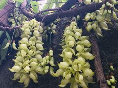 -华南国家植物园-售票处