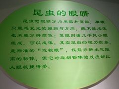 -上海昆虫博物馆