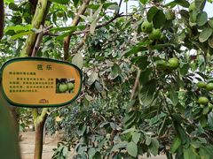 -北戴河集发农业梦想王国