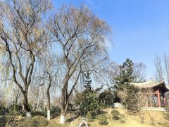 -济南国际园博园