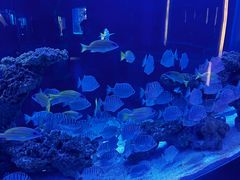 -上和臻品中国菜(花园街店)