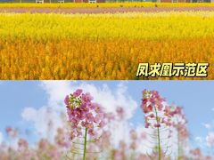 -白鹭湾湿地公园