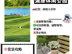 -上海山野camping·户外天幕烧烤·团建拓展营地