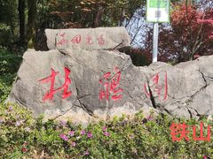 -铁山坪森林公园