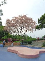 -番禺儿童公园