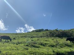 -撒拉人家.酸菜牦牛肉火锅