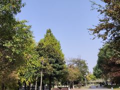 -尚贤河湿地
