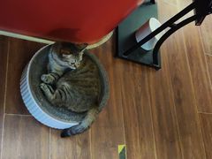 -H立方实景剧情密室(天河旗舰店)