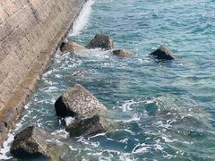 -八大峡公园