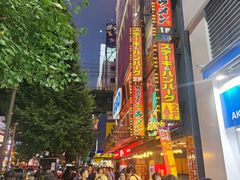 -秋叶原电器街