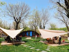 -Supine Bistro溯泮餐厅