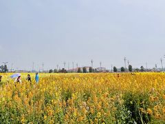 -中国天府农业博览园