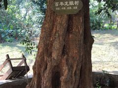 -涠洲岛-圣母堂