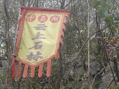 -千岛湖石林