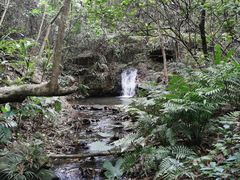 -佛山市三水区大南山森林公园