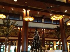 IMG_1516-三亚亚龙湾希尔顿酒店