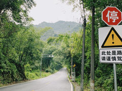 -泽雅七瀑涧景区