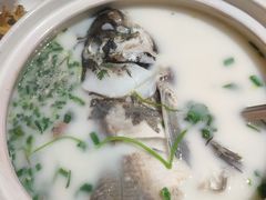 -天乐农家鱼头王(天目湖店)