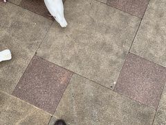 -国色天乡三期陆地乐园