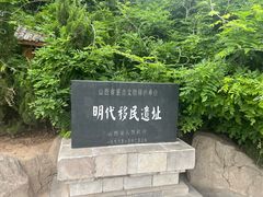 -大槐树寻根祭祖园
