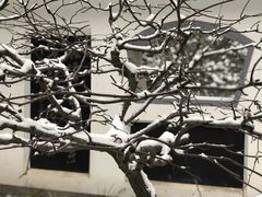 -陕西师范大学(雁塔校区)
