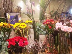 -PlantsEatery·植物食堂(REX春熙店)