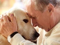 -瑞鹏宠物医院犬猫全科(真大分院)