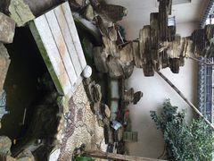 iphone_upload_pic-四季园农家乐