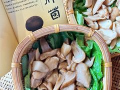 -滇野云南野生菌餐厅(陕西南路店)