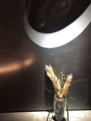 -美壹生诊所皮肤管理中心·海菲秀&Legacy美白舱