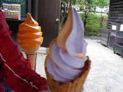 android_upload_pic-富田农场