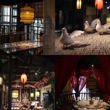 苏州探店｜地道苏帮菜‼️松鼠桂鱼是我吃过最好吃的🐟