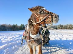 -北极村旅游风景区