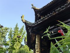 -青羊宫