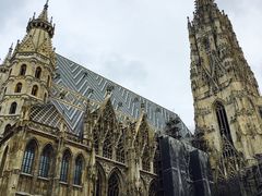-斯蒂芬主教座堂(Stephansdom)