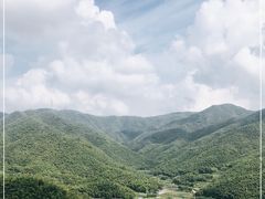 -宁波浙东大竹海景区