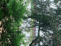 -佛山大学(仙溪校区南区)