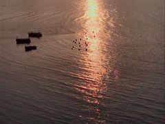 -北岐滩涂